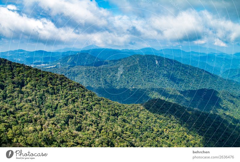 klimawandel | lebenswichtiger regenwald! Klimaschutz Klimawandel fantastisch blau traumhaft Wolken Sträucher Umweltschutz Blatt Himmel Baum Feld Nutzpflanze