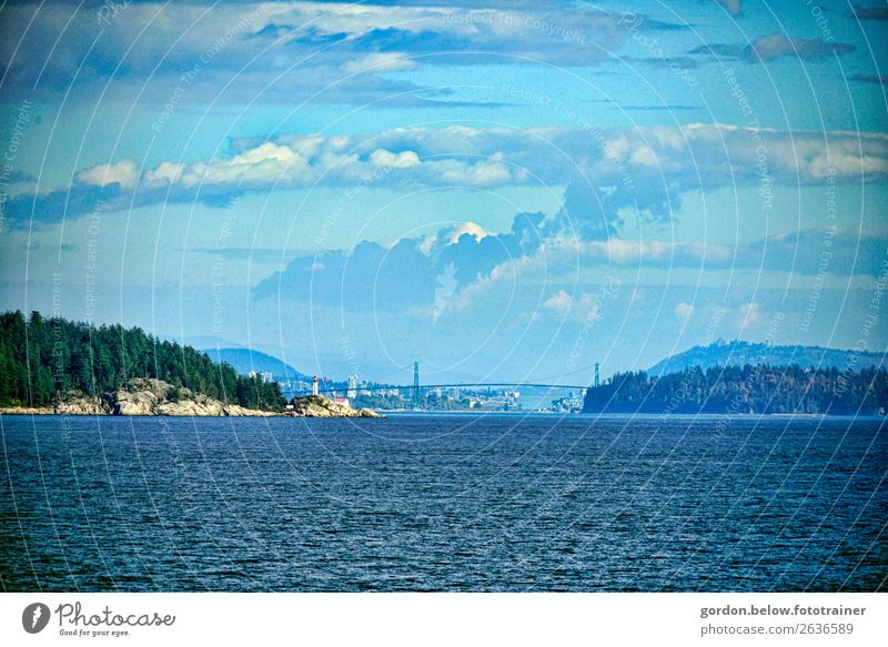 #Kanada /Vancouver Island/British Columbias Natur Landschaft Pflanze Urelemente Erde Wasser Himmel Wolken Sonnenlicht Herbst Schönes Wetter Baum Wildpflanze