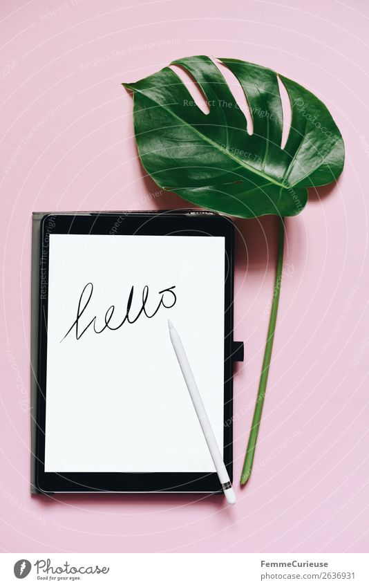 Tablet with a handwritten "hello" on pink background Technik & Technologie Unterhaltungselektronik Fortschritt Zukunft Internet Kreativität Tablet Computer rosa