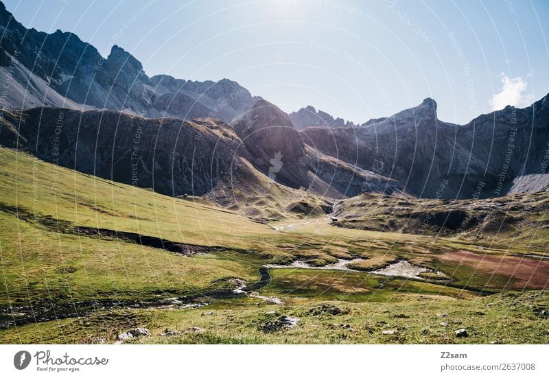 Blick zur Seescharte Ferien & Urlaub & Reisen Abenteuer wandern Natur Landschaft Sonne Sommer Schönes Wetter Wiese Alpen Berge u. Gebirge Gipfel gigantisch hoch