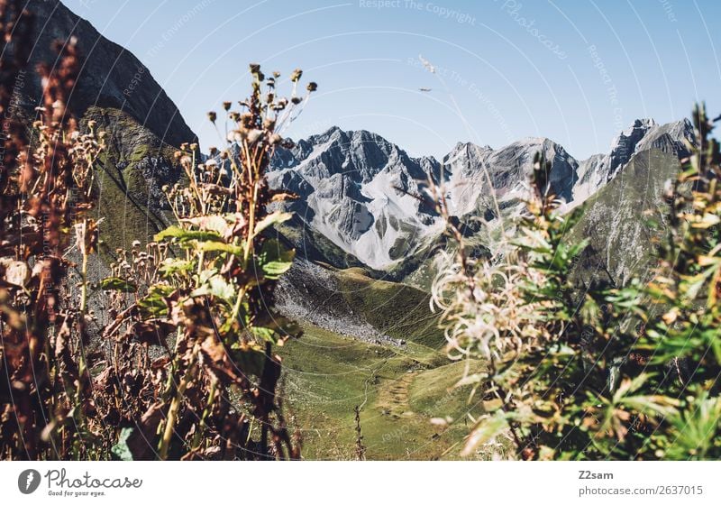 Lechtaler Alpen Abenteuer wandern Umwelt Natur Landschaft Sommer Schönes Wetter Sträucher Berge u. Gebirge nachhaltig natürlich grün Einsamkeit Idylle
