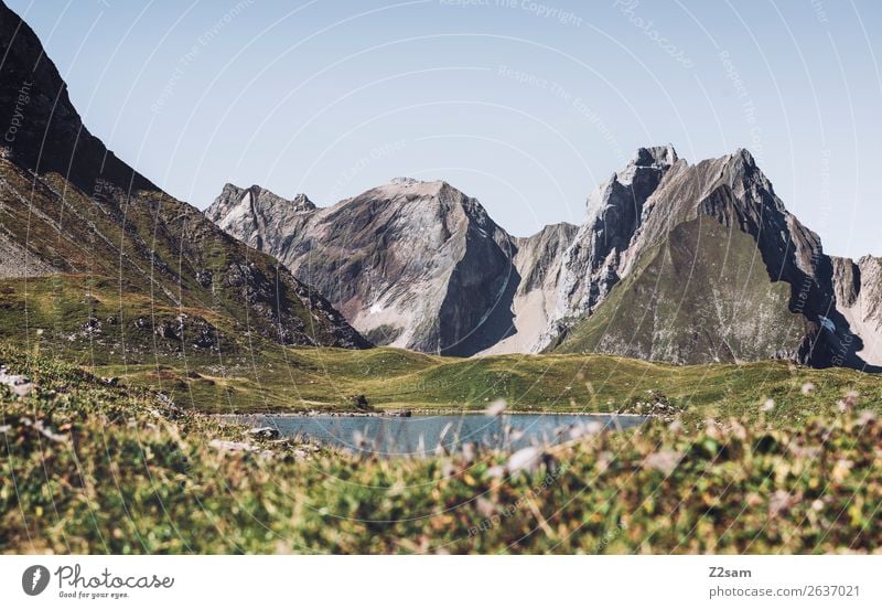 Unterer Seewiesee | Lechtaler Alpen Abenteuer wandern Natur Landschaft Sommer Schönes Wetter Wiese Berge u. Gebirge Gipfel Gebirgssee natürlich grün Einsamkeit