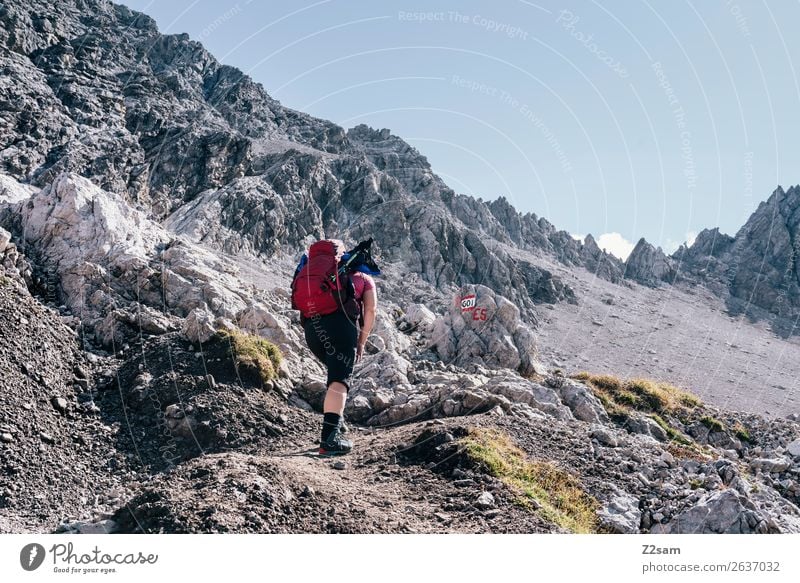 Alpenüberquerung | Seescharte E5 Abenteuer Berge u. Gebirge wandern feminin Junge Frau Jugendliche 18-30 Jahre Erwachsene Natur Landschaft Himmel Sommer