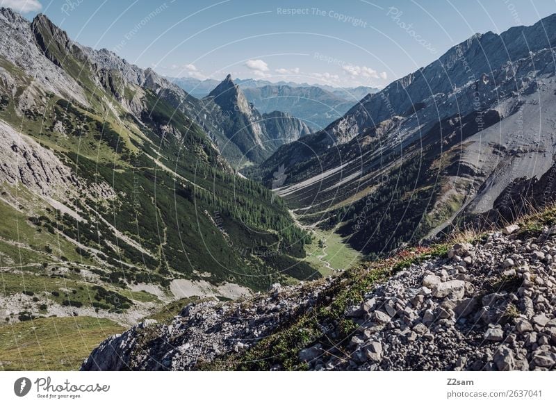 Abstieg nach Zams | Alpenüberquerung | E5 Abenteuer Berge u. Gebirge wandern Natur Landschaft Sommer Schönes Wetter Wald gigantisch hoch blau grün Einsamkeit