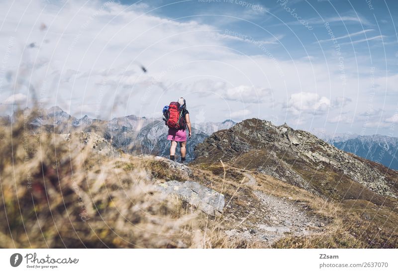 Junge Frau auf Alpenüberquerung | Pitztal | E5 Ferien & Urlaub & Reisen Abenteuer Expedition wandern Jugendliche Natur Landschaft Sommer Schönes Wetter Gras