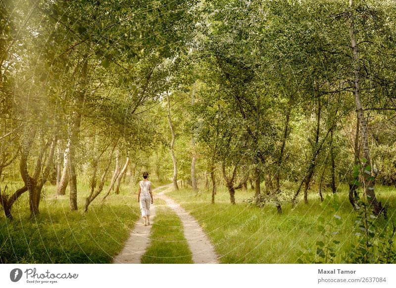 Erwachsene Frau Geht Im Wald Spazieren Ein Lizenzfreies Stock Foto Von Photocase