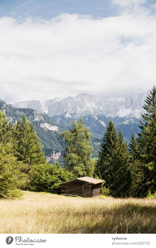 Mit Abstand zur Welt Erholung ruhig Ferien & Urlaub & Reisen Tourismus Ausflug Ferne Freiheit Umwelt Natur Landschaft Himmel Sommer Schönes Wetter Wiese Wald