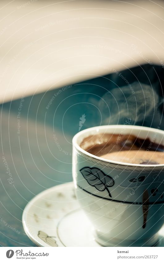 Stark, süß, heiß Lebensmittel Kaffeetrinken Getränk Heißgetränk Mokka Tasse Untertasse Duft authentisch lecker verziert Porzellan Wasserdampf Farbfoto