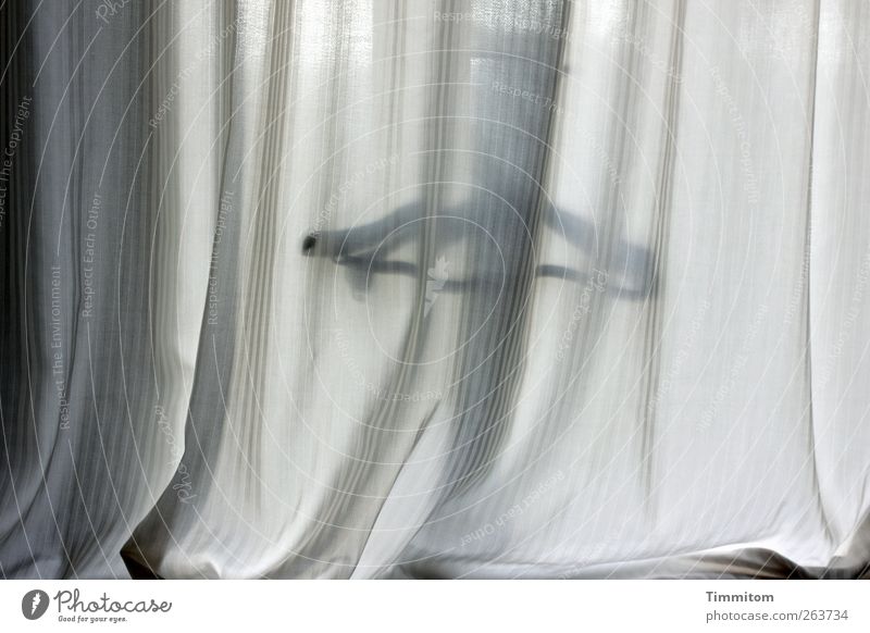 Was iss? Wohnung einfach grau schwarz Gefühle Vorhang Faltenwurf Fenster Kleiderbügel Farbfoto Gedeckte Farben Innenaufnahme Menschenleer Morgen Schatten