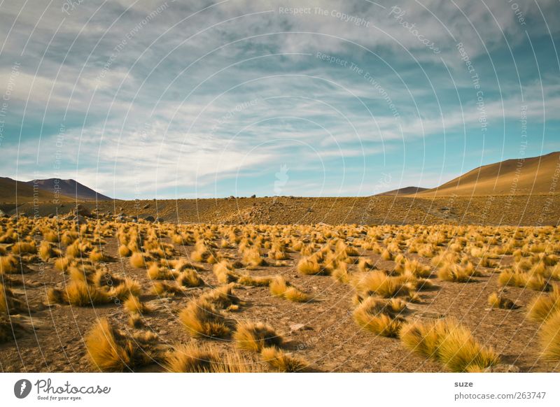 Wildes Land Umwelt Natur Landschaft Urelemente Erde Sand Luft Himmel Horizont Sommer Klima Wetter Schönes Wetter Hügel Wüste außergewöhnlich trist trocken blau