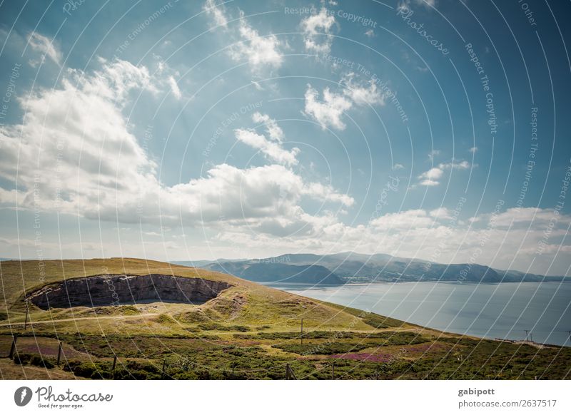 Himmel Wasser Berge Wales Umwelt Natur Landschaft Pflanze Tier Urelemente Erde Luft Wolken Sonne Sonnenlicht Sommer Klima Wetter Schönes Wetter Wiese Hügel