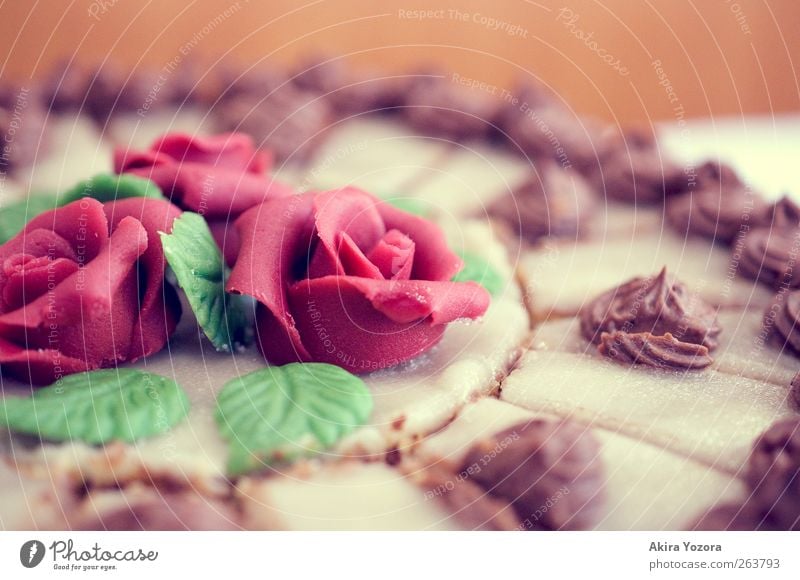 Alles Gute! Kuchen Süßwaren Torte Ernährung Kaffeetrinken Blühend Feste & Feiern frisch Kitsch lecker rund süß braun grün rot Freude Lebensfreude genießen Rose