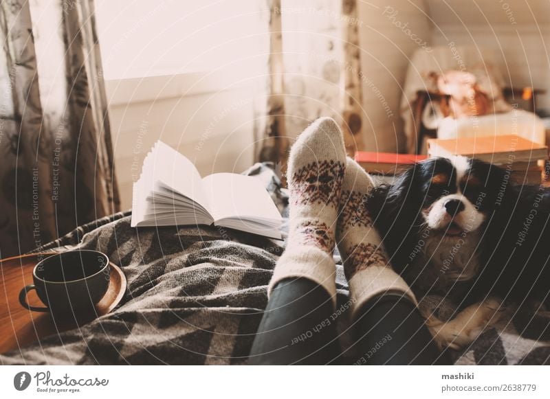 gemütlicher Wintertag zu Hause bei einer Tasse heißem Tee Lifestyle Erholung Freizeit & Hobby lesen Freundschaft Fuß Buch Herbst Hund authentisch Geborgenheit