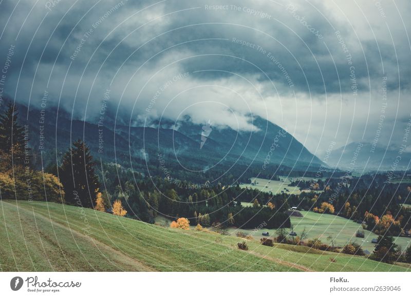 schlechtes Wetter in den Alpen Umwelt Natur Landschaft Urelemente Erde Luft Himmel Wolken Gewitterwolken Klima Klimawandel Unwetter Nebel Baum Gras Hügel