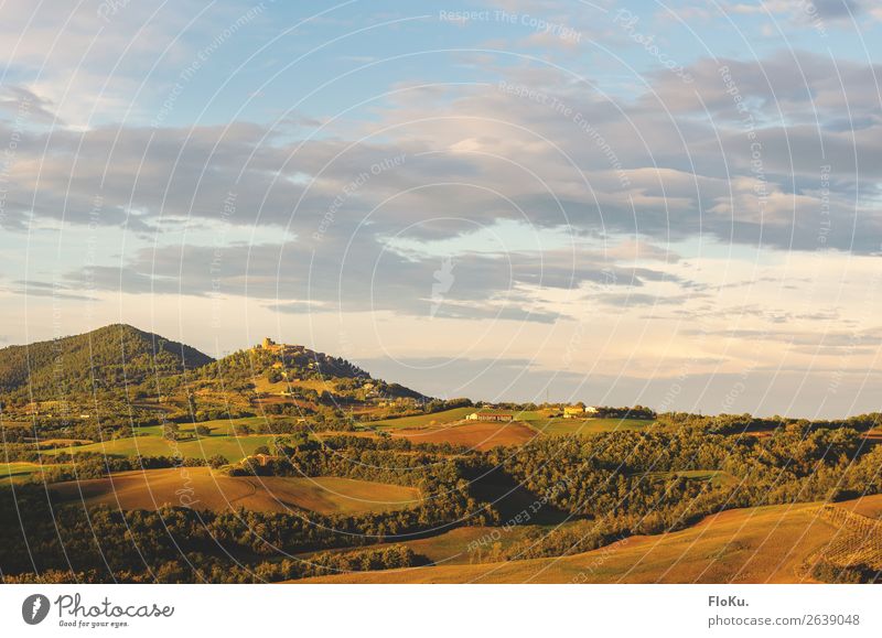 Hügel der Toskana im warmen Herbstlicht Ferien & Urlaub & Reisen Abend Farbfoto Außenaufnahme mediterran Reisefotografie Fernweh Italien grün blau natürlich