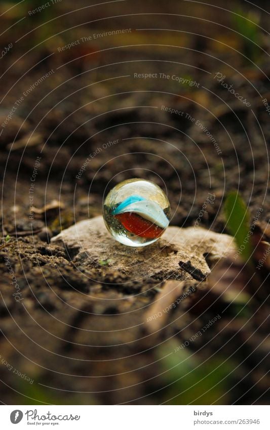 Pelle`s Murmel Erde Pflanze Stein ästhetisch authentisch rund Glasmurmel Kinderspiel deutlich Fundstück Glaskugel Kugel Farbfoto Außenaufnahme Textfreiraum oben