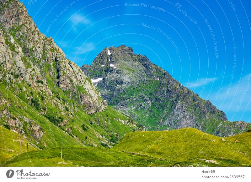 Berge auf den Lofoten in Norwegen Erholung Ferien & Urlaub & Reisen Tourismus Sommer Berge u. Gebirge Umwelt Natur Landschaft Wolken Klima Wetter Gras Wiese