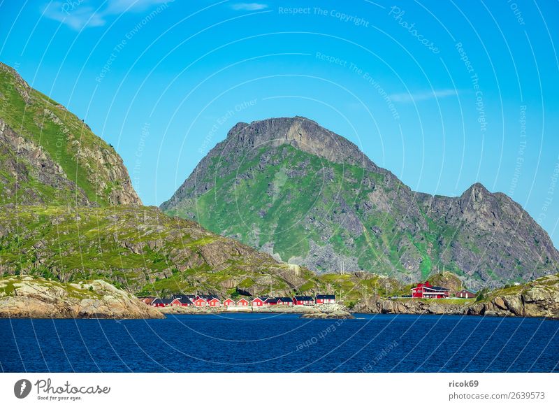 Küste auf den Lofoten in Norwegen Erholung Ferien & Urlaub & Reisen Tourismus Sommer Meer Berge u. Gebirge Haus Umwelt Natur Landschaft Wasser Wolken Klima