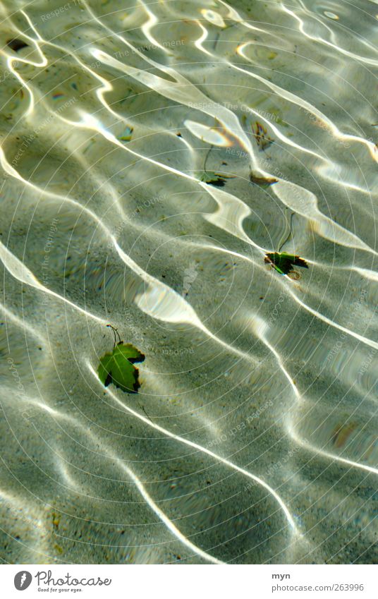Brunnen Sommer Wellen Schwimmen & Baden Urelemente Wasser Küste Seeufer Flussufer Strand Bucht Meer Erholung grün Stimmung ästhetisch Zufriedenheit
