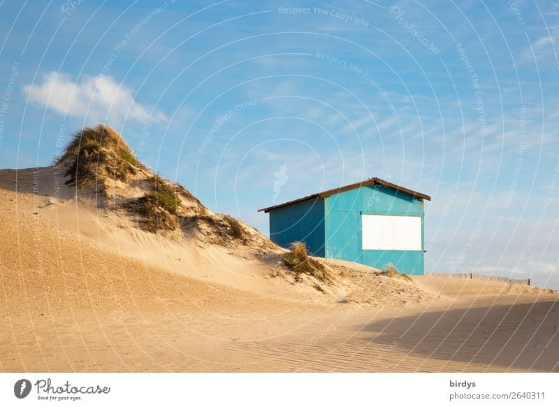 Die Hütte an der Düne Häusliches Leben Landschaft Himmel Wolken Schönes Wetter Dünengras Strand Stranddüne authentisch klein positiv blau gelb türkis Vorfreude