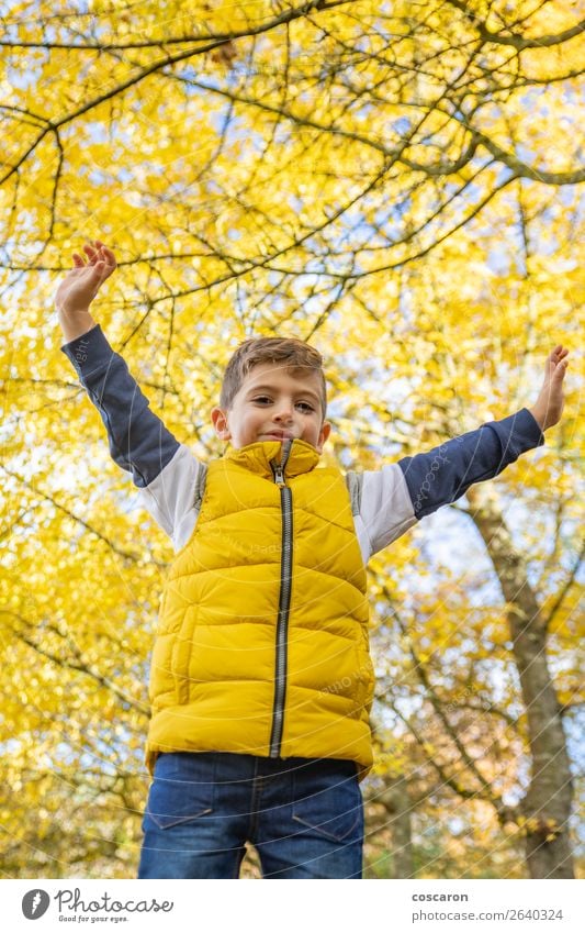 Süßes Kind gegen einen gelben Baum im Herbst Lifestyle Freude Glück schön Freizeit & Hobby Ferien & Urlaub & Reisen Freiheit Mensch Baby Kleinkind Junge Mann
