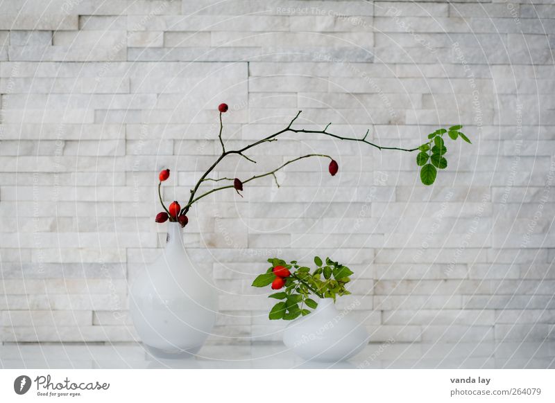 Deko Stil Design Häusliches Leben Wohnung einrichten Dekoration & Verzierung Vase Pflanze Symmetrie Hagebutten Beeren Blatt Marmor Farbfoto Innenaufnahme