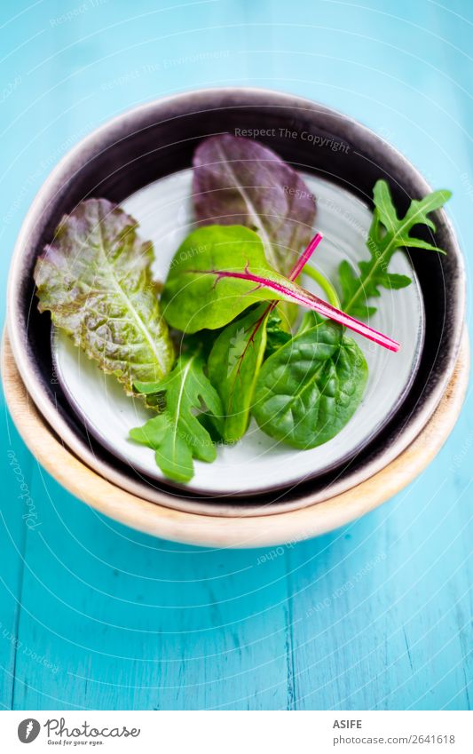 Gemischter Babyblattsalat Gemüse Ernährung Vegetarische Ernährung Diät Schalen & Schüsseln Sommer Blatt Holz frisch grün rot türkis Salatbeilage sprießen Rucola