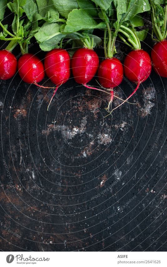 Nasse Radieschen auf einem Grunge-Hintergrund Gemüse Ernährung Vegetarische Ernährung Diät Pflanze Blatt Tropfen dunkel frisch klein nass natürlich grün rot