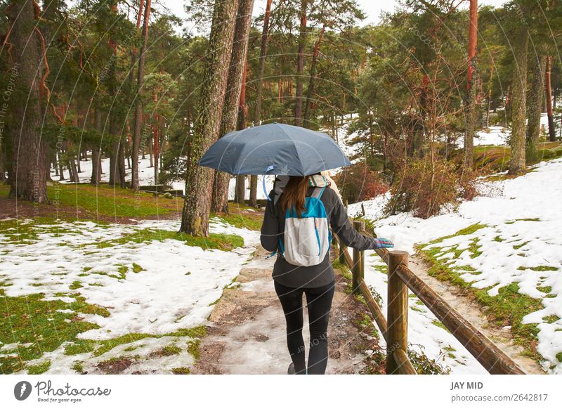 Mädchen, das mit einem Regenschirm in der Hand im Schnee spazieren geht, Rücken schön Winter wandern Mensch Frau Erwachsene Jugendliche Natur Wetter Schneefall
