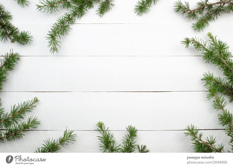 Tannenzweige auf weißem Holzgrund mit Kopierraum. Design Glück Winter Schnee Dekoration & Verzierung Feste & Feiern Weihnachten & Advent Handwerk einfach oben