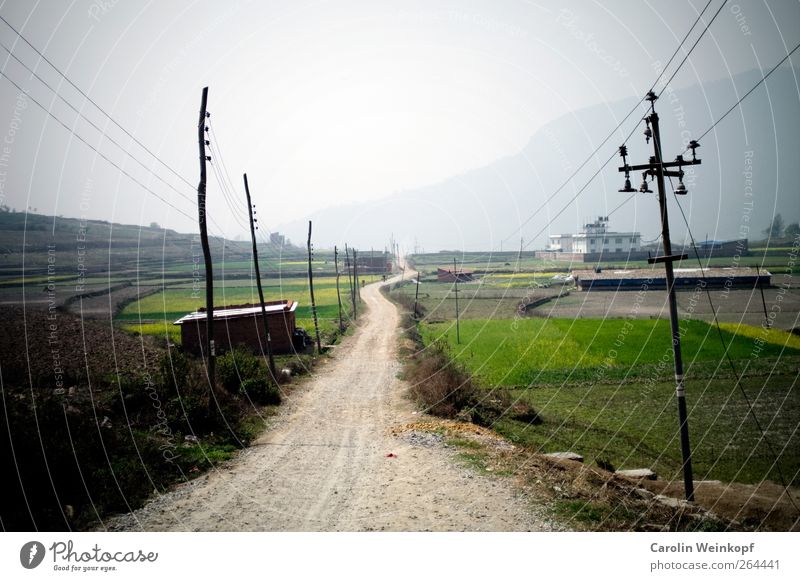 Long path ahead. Landschaft Frühling Sommer Feld Verkehrswege Straße Wege & Pfade Stimmung Strommast Himmel Landstraße Nepal Reisefotografie Menschenleer