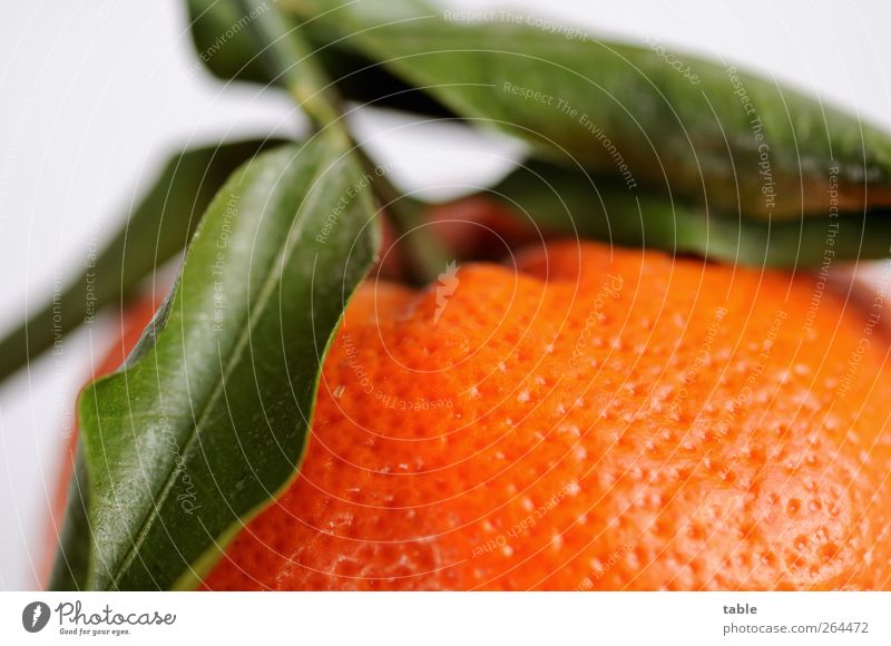 keine Zitrone . . . Lebensmittel Frucht Orange Mandarine Ernährung Bioprodukte Vegetarische Ernährung exotisch Gesunde Ernährung natürlich grün ästhetisch