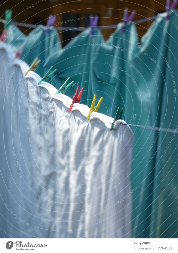 Frühjahrsputzwaschtag Wohnung Decke Wäscheklammern Wäscheleine hängen Reinigen nass Sauberkeit mehrfarbig weiß Waschtag Häusliches Leben aufhängen trocknen