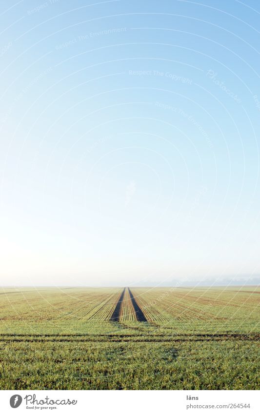 gerade aus Landschaft Erde Himmel Wolkenloser Himmel Frühling Schönes Wetter Feld Unendlichkeit blau grün Umwelt Wege & Pfade Ferne Spuren Farbfoto