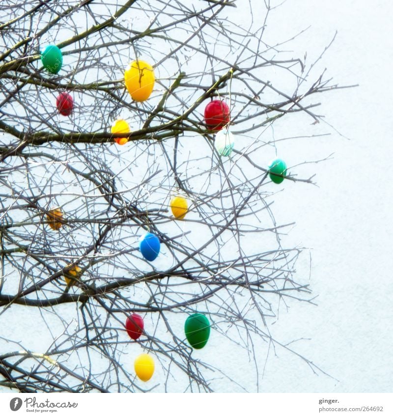 Es ostert heftigst !!! Feste & Feiern Ostern Kitsch Krimskrams Zeichen mehrfarbig geschmückt Dekoration & Verzierung Zweige u. Äste Schnur Wand Baum