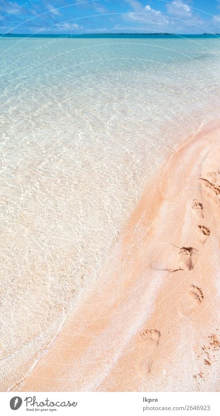 in Polynesien der rosa Sand der Küste Lifestyle Reichtum exotisch schön Erholung ruhig Ferien & Urlaub & Reisen Tourismus Kreuzfahrt Sommer Strand Meer Insel