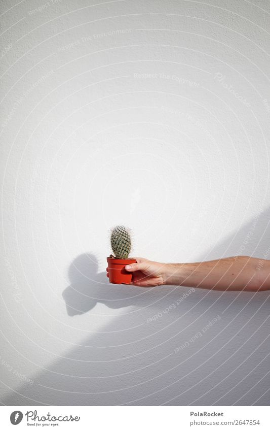 #AS# Von Herzen! Kunst Kunstwerk ästhetisch Kaktus Geschenk Blume Blumenstrauß Blumentopf Stachel stachelig Schmerz Aua gefährlich Hand festhalten zeigen geben
