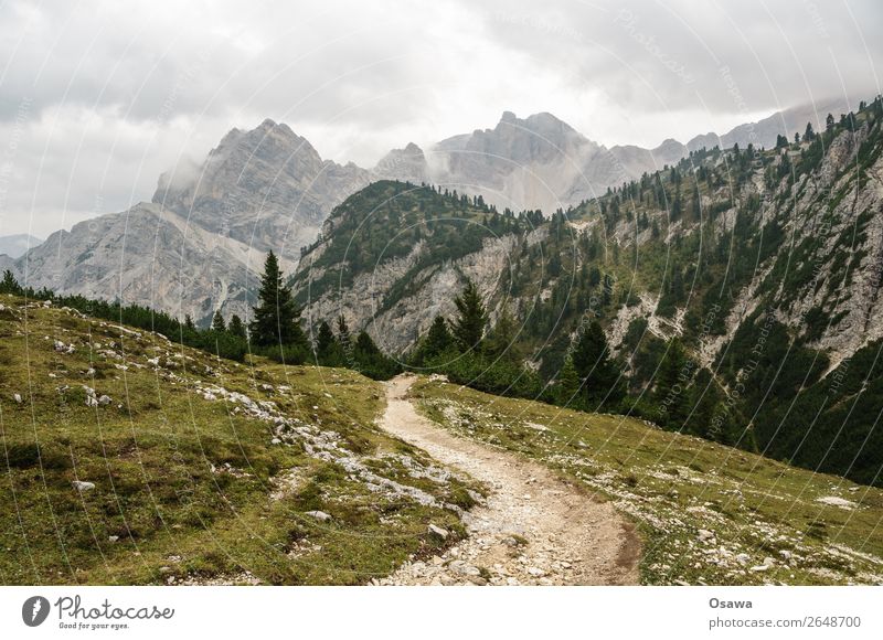 zur Pragser Hochalm Italien Südtirol Alpen Berge u. Gebirge Felsen Stein Gipfel Landschaft Dolomiten wandern Bergsteigen Klettern Natur unberührt Alm Wiese hoch