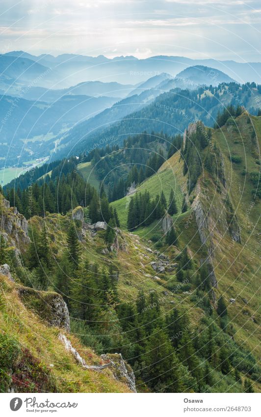Nagelfluhkette Deutschland Allgäu Alpen Berge u. Gebirge Felsen Gebäude Gipfel Landschaft wandern Bergsteigen Klettern Natur Alm Hochalpen Himmel Sommer