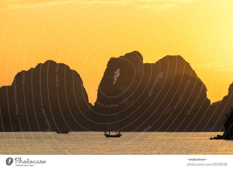 Halong Bay III Natur Landschaft Urelemente Wasser Himmel Sonne Sonnenaufgang Sonnenuntergang Sonnenlicht Schönes Wetter Hügel Felsen Küste Bucht Meer