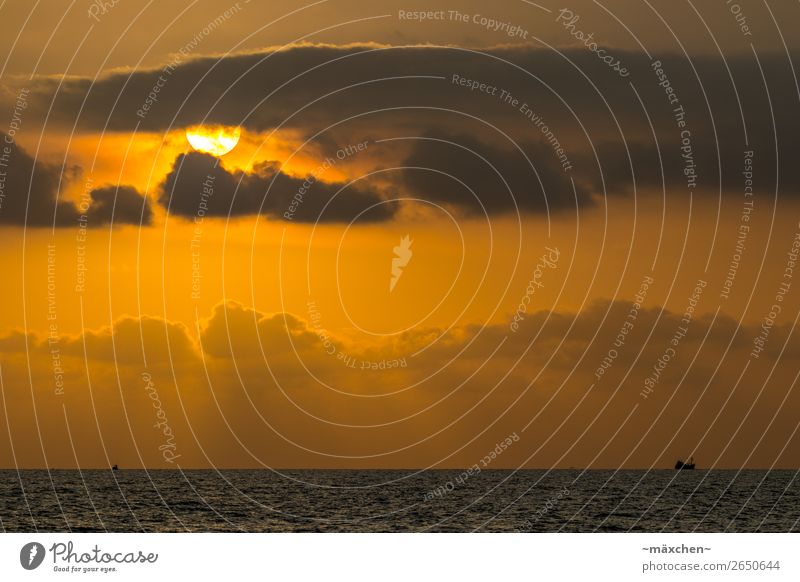 Die letzten Sonnenstrahlen Natur Landschaft Himmel Wolken Sonnenaufgang Sonnenuntergang Sonnenlicht Schönes Wetter Wellen Meer Schifffahrt Fischerboot schön