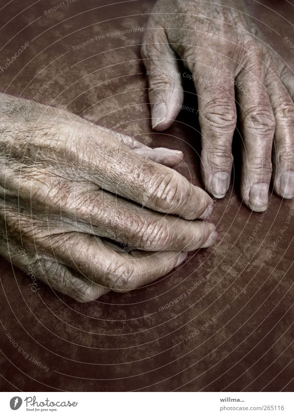 Hände eines Senioren Alter Hand Seniorenpflege Alterserscheinung Ruhestand Altersversorgung Feierabend Männlicher Senior Mensch Finger Fingernagel Hautfalten