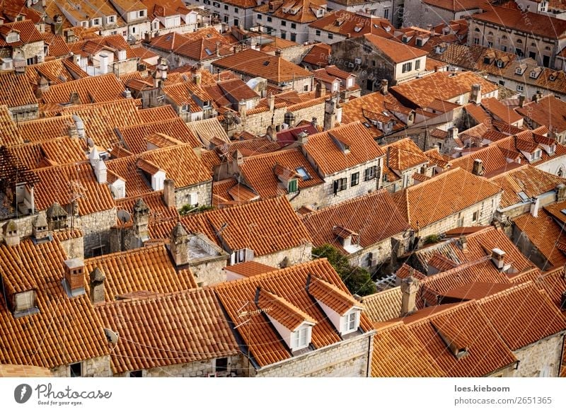 Detail of the orange roofs of Dubrovnik, Croatia Ferien & Urlaub & Reisen Tourismus Sightseeing Städtereise Winter Stadt Stadtzentrum Mauer Wand Dach