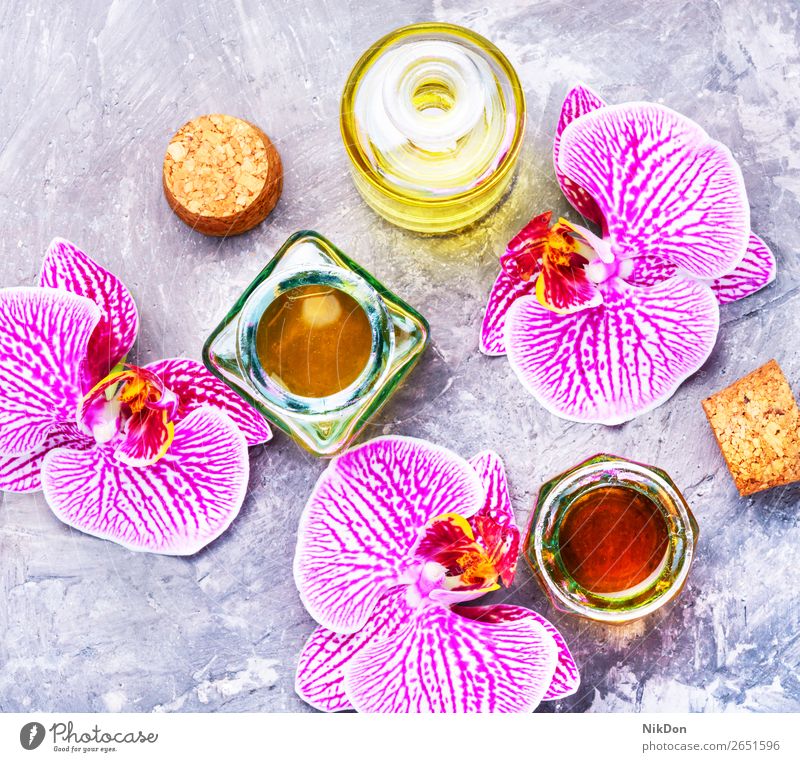 Extraktion von Blumen-Orchideen Essenz Flasche Aromatherapie Erdöl notwendig natürlich Kräuterbuch Gesundheit Wellness Schönheit Glas Behandlung Therapie frisch