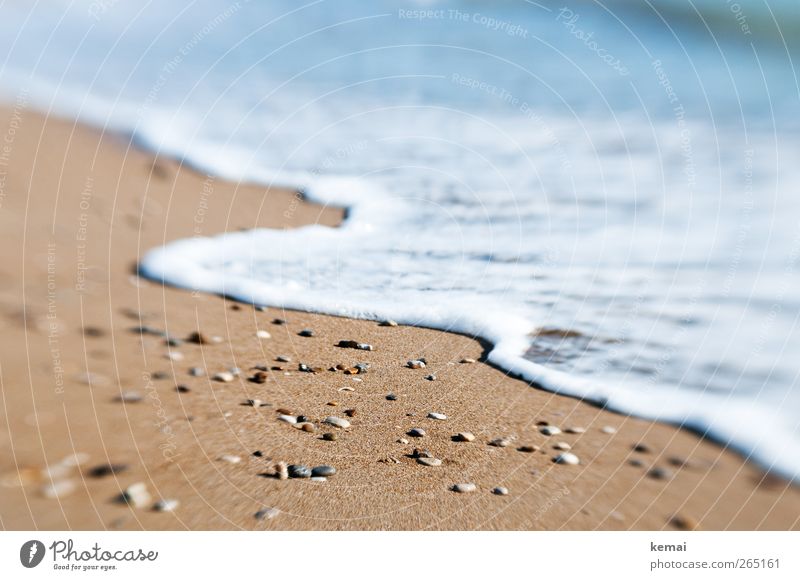 Meers(ch)aum Wellness harmonisch Erholung Ferien & Urlaub & Reisen Tourismus Sommer Sommerurlaub Strand Umwelt Natur Urelemente Wasser Sonne Sonnenlicht