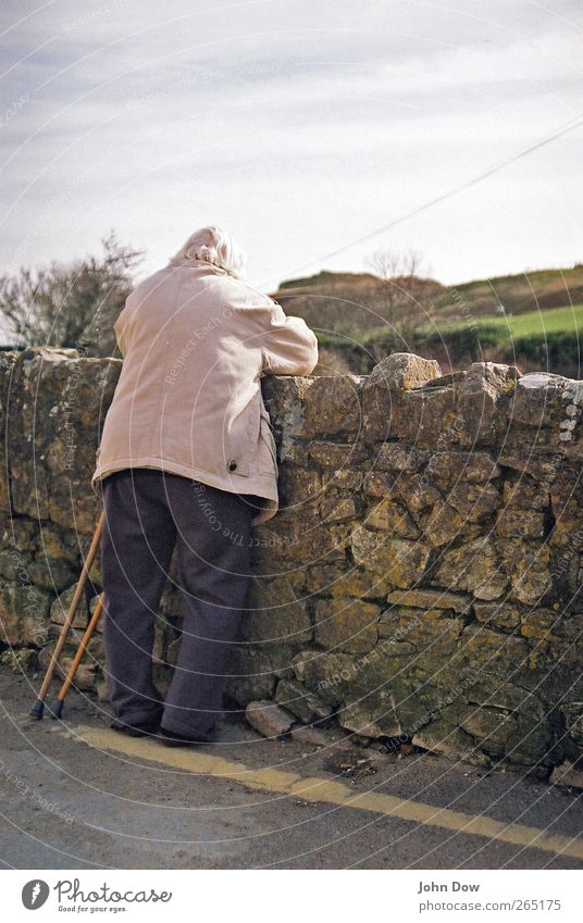 Granny Großmutter Senior 1 Mensch 60 und älter Landschaft Schönes Wetter Baum Sträucher Fußgänger Wege & Pfade Sehnsucht Heimweh Fernweh Einsamkeit