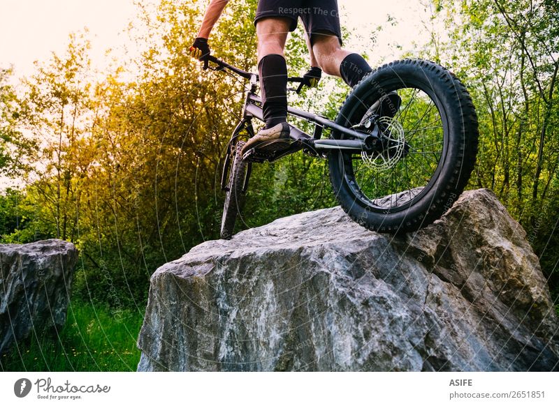 Extremer Radsport Sportkonzept Freiheit Sommer Berge u. Gebirge Fahrradfahren Mann Erwachsene Natur Baum Wald Felsen springen frei stark Reiter extrem jung