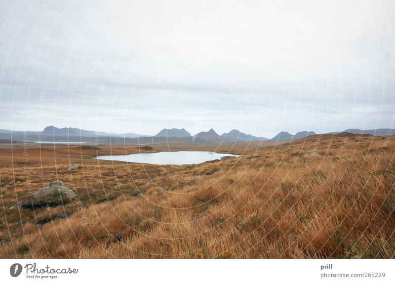 scottish landscape with distant hills Ferien & Urlaub & Reisen Tourismus Natur Landschaft Pflanze Wasser Wolken Klima Wetter Wind Gras Sträucher Moor Sumpf