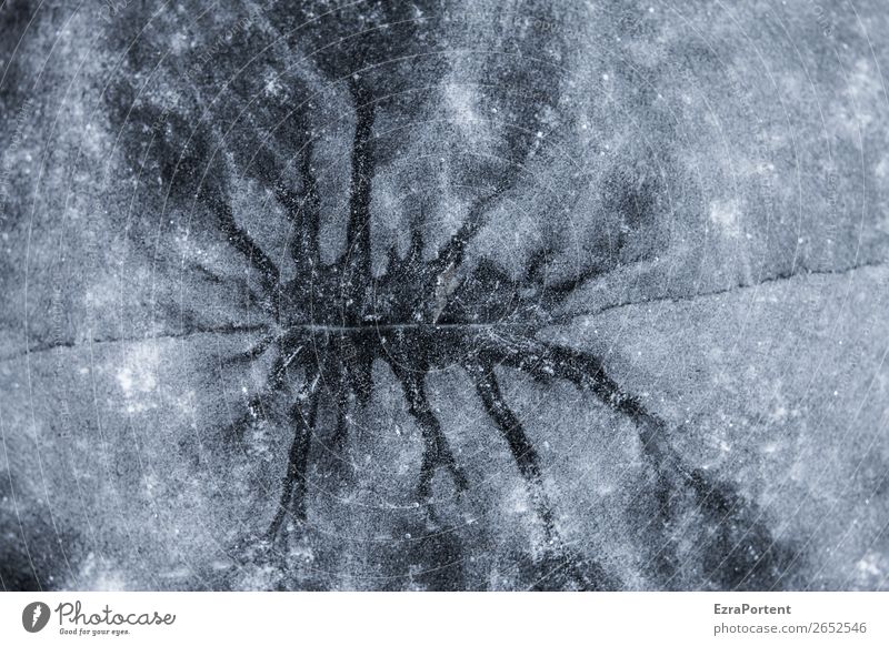 Spalt Umwelt Natur Wasser Winter Eis Frost See kalt Spalte Riss Naturphänomene gefroren Schwarzweißfoto Außenaufnahme Nahaufnahme abstrakt Muster
