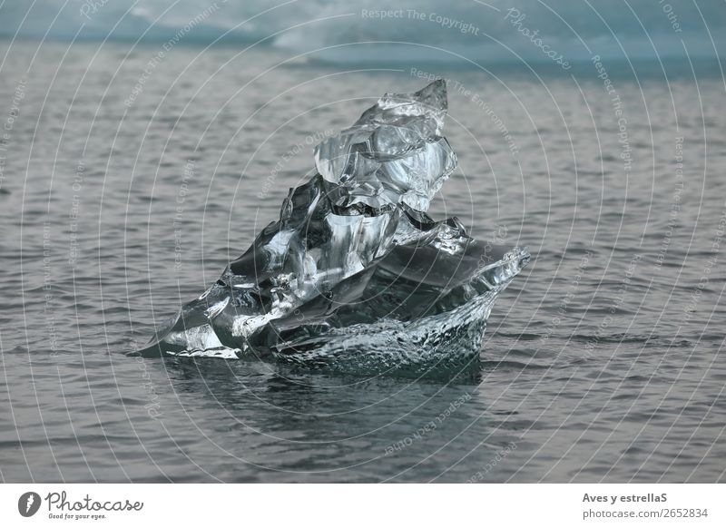 Formen auf einem Stück Gletschereis Winter Umwelt Natur Wasser Klima Klimawandel Eis Frost Nordsee Meer Insel Kristalle frieren blau grau schwarz silber weiß
